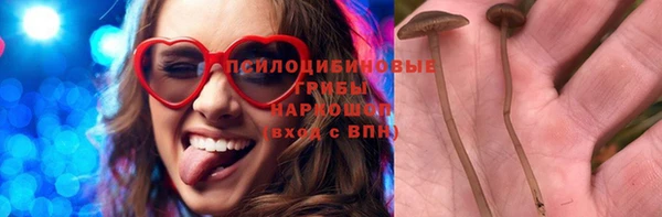 индика Верхнеуральск