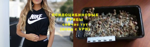 кокс Бородино