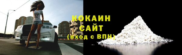 кокс Бородино