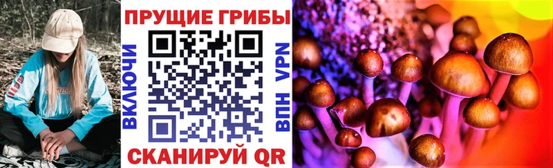 Псилоцибиновые грибы Psilocybe Медвежьегорск